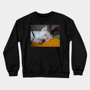 west highland white terrier sleeping Crewneck Sweatshirt